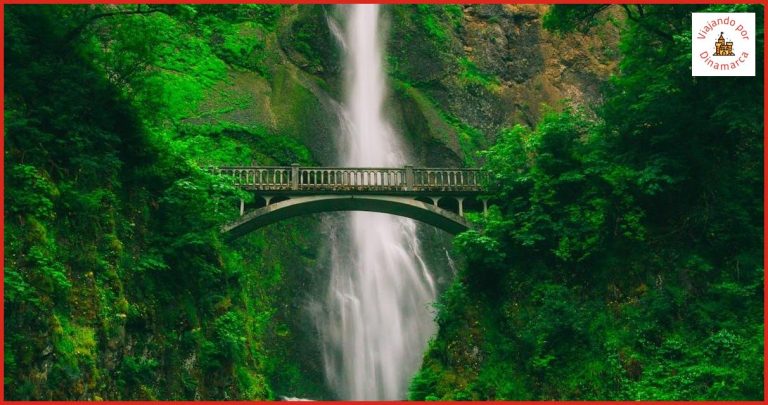 Descubre los mejores lugares para visitar en Hørsholm Descubre los mejores lugares para visitar en Hørsholm